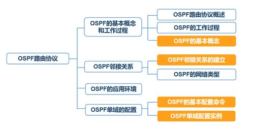 计算机网络技术 路由协议详解（第六天）